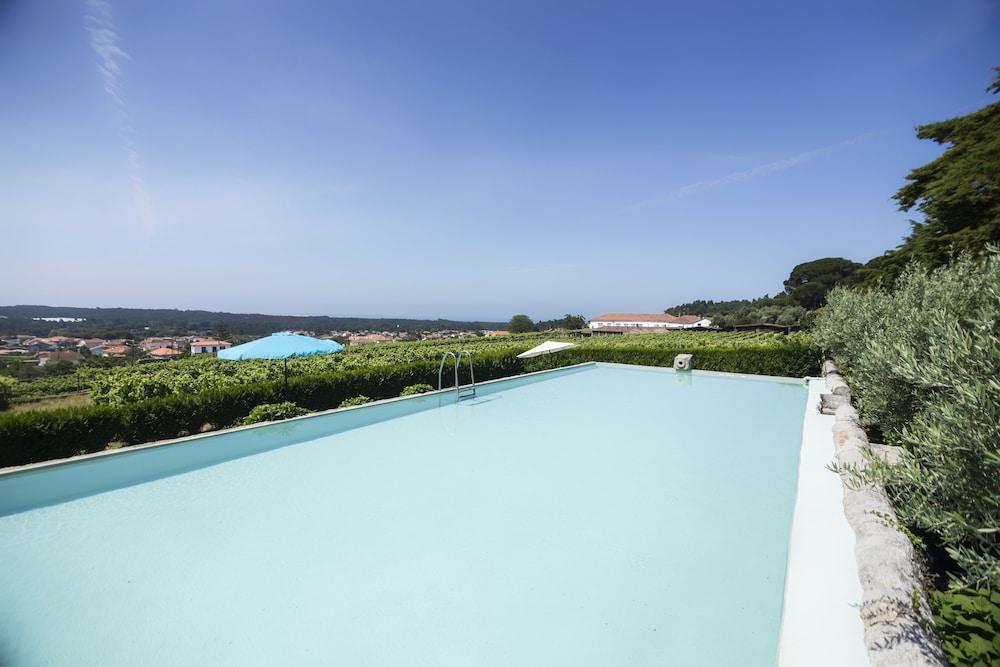 Quinta Do Paco D'Anha Guest House Viana do Castelo Eksteriør bilde